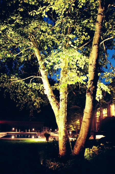 landscape_lighting08.jpg